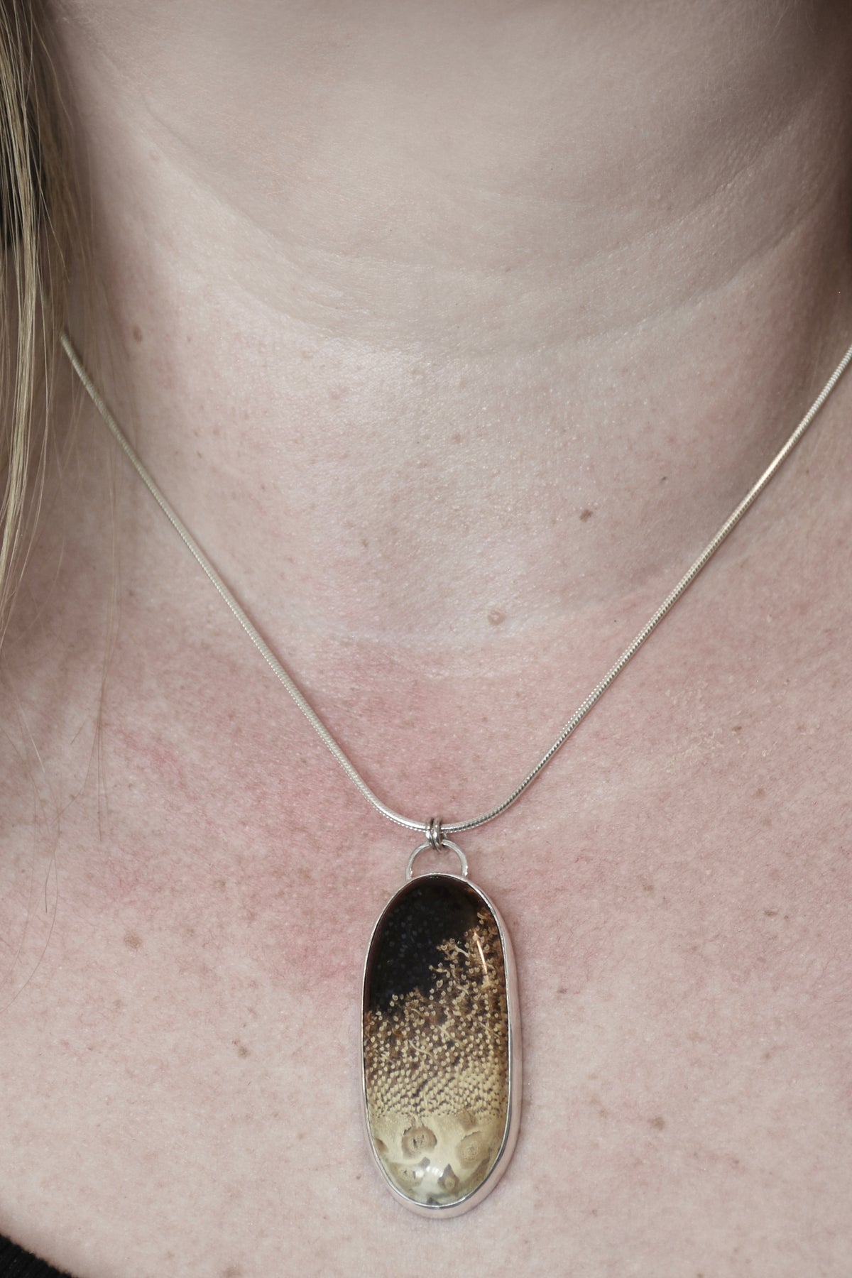 Petrified Palm Wood Pendant in Sterling Silver