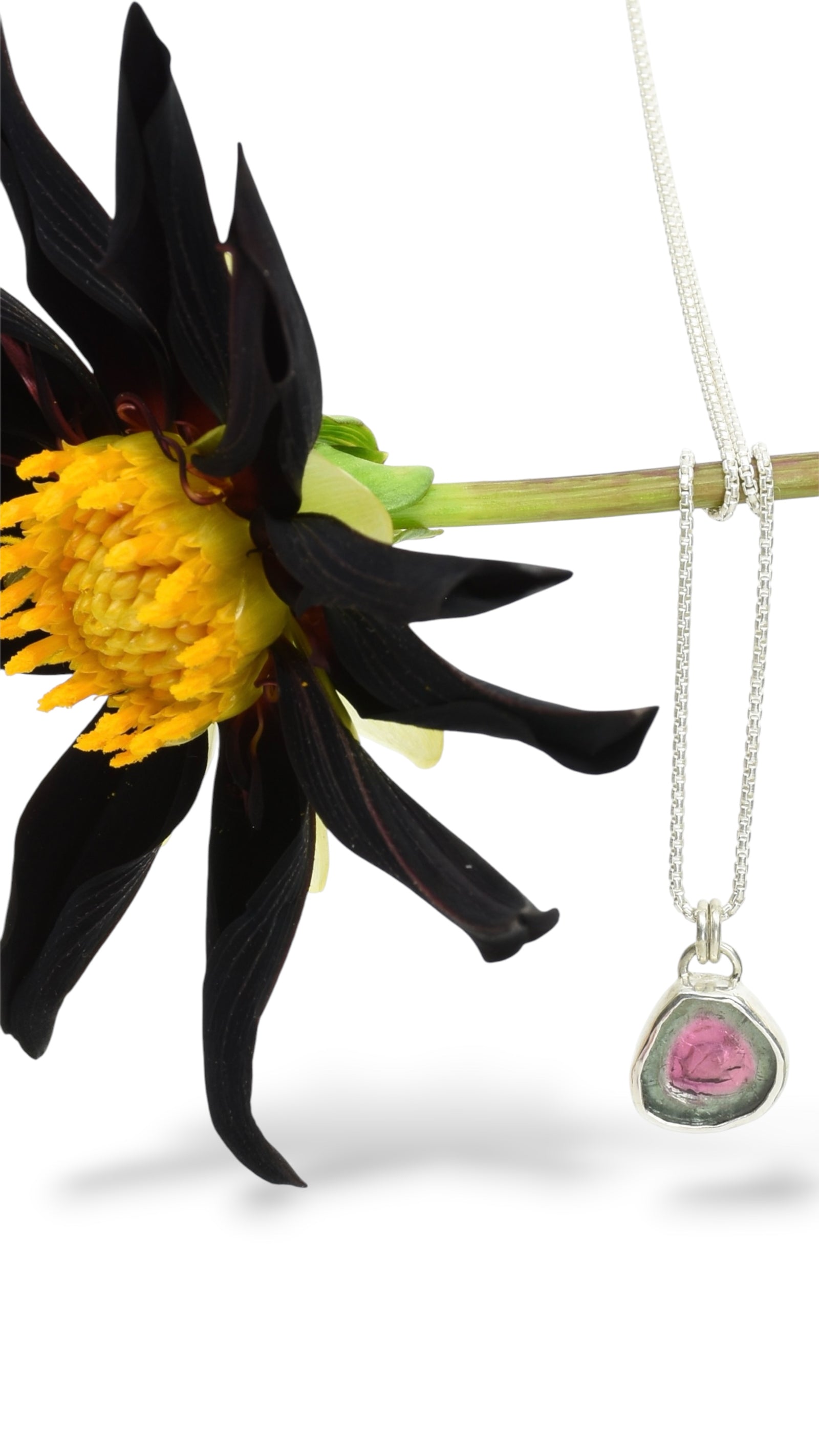 Watermelon Tourmaline Pendant