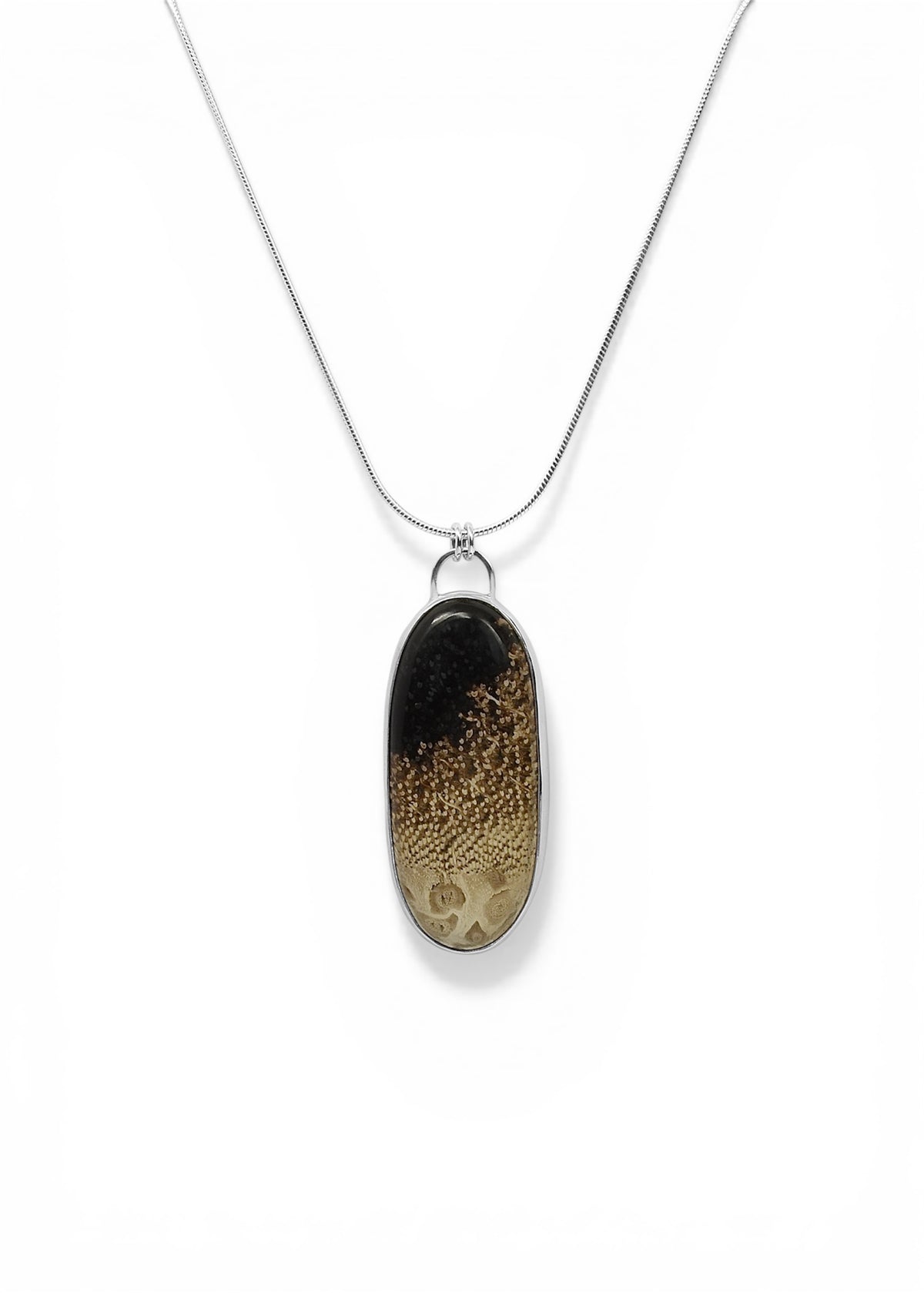 Petrified Palm Wood Pendant in Sterling Silver