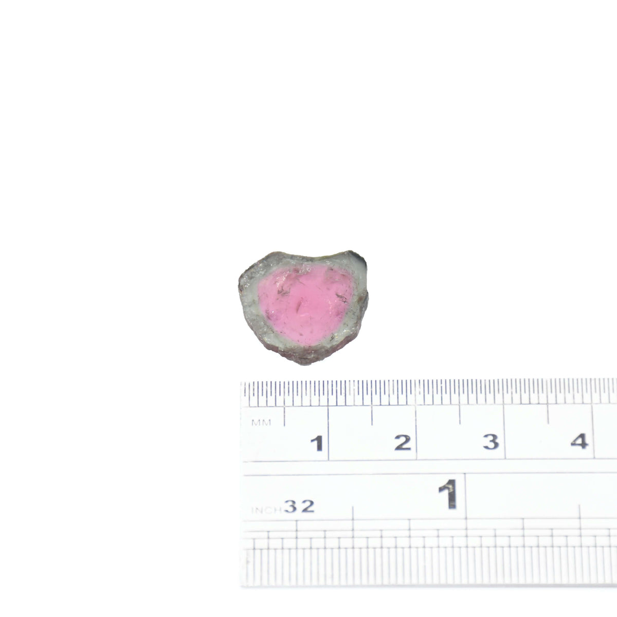 A single version of these light teal and light pink loose watermelon tourmaline slices