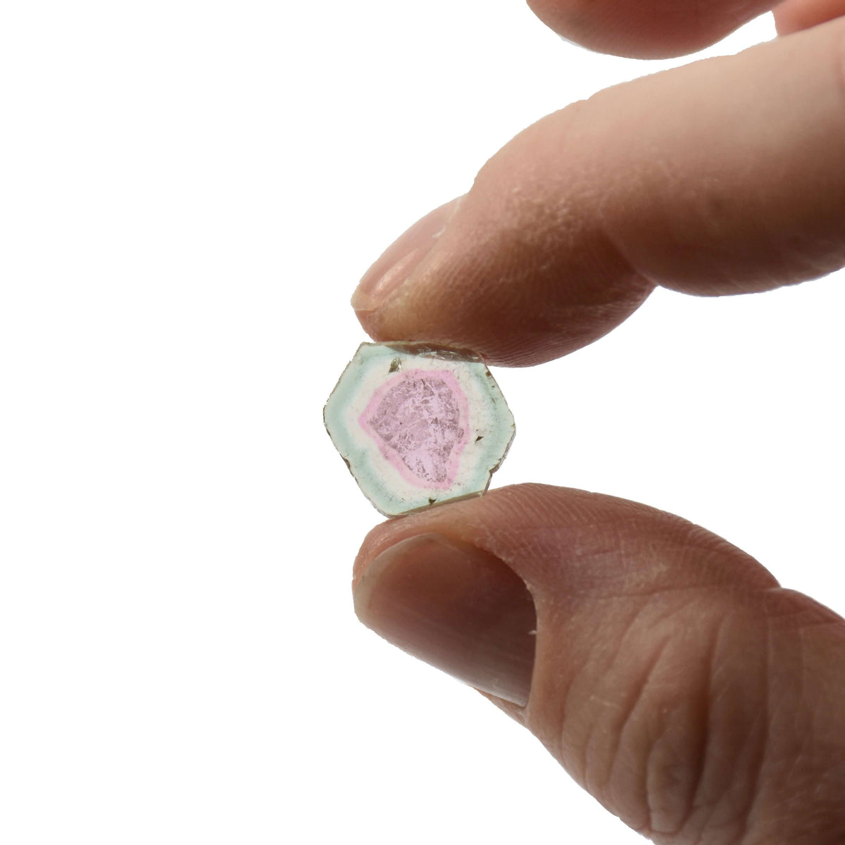 A pale green and pink single slice of watermelon tourmaline gems