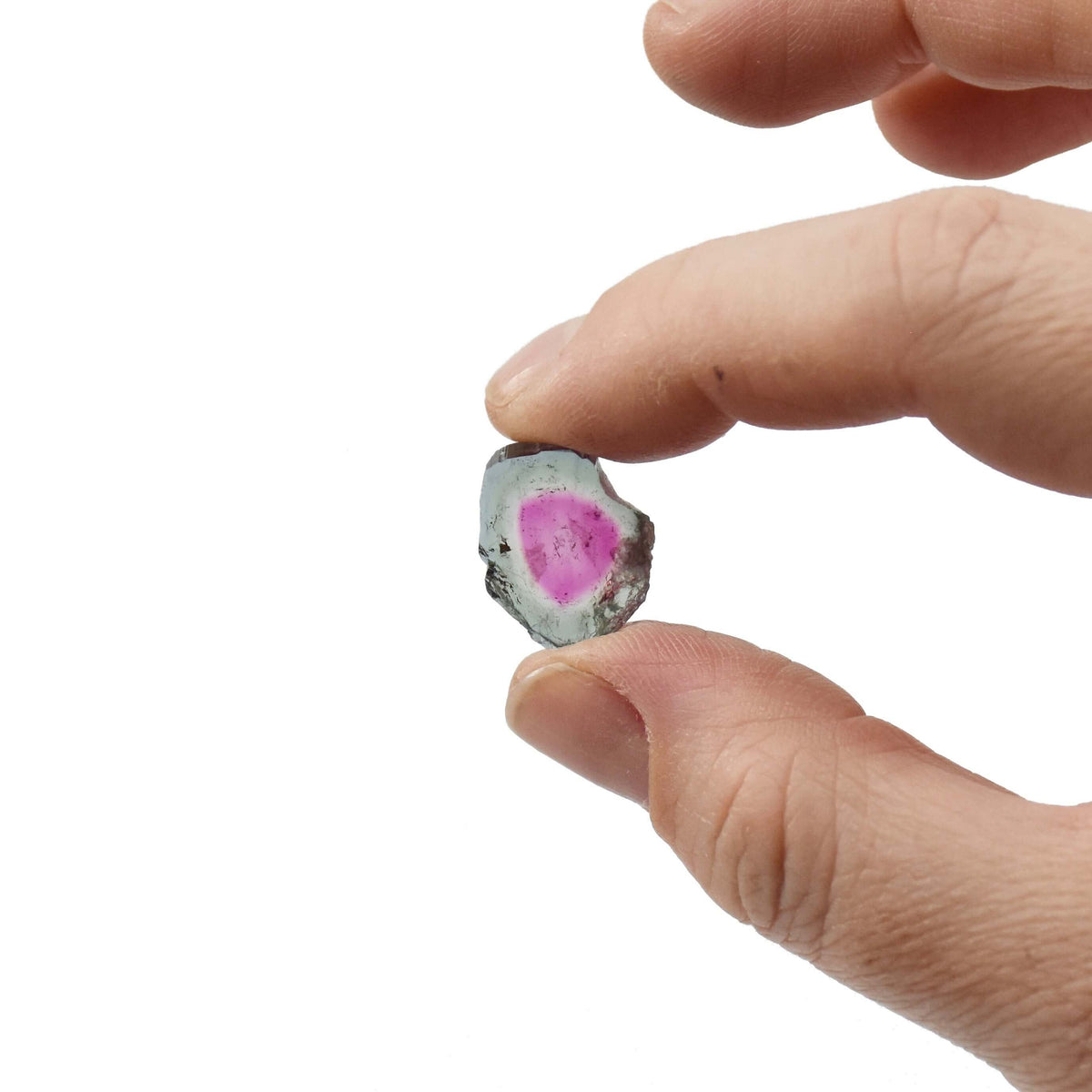 This dark teal and dark pink tourmaline slice would be perfect for custom watermelon tourmaline jewelry