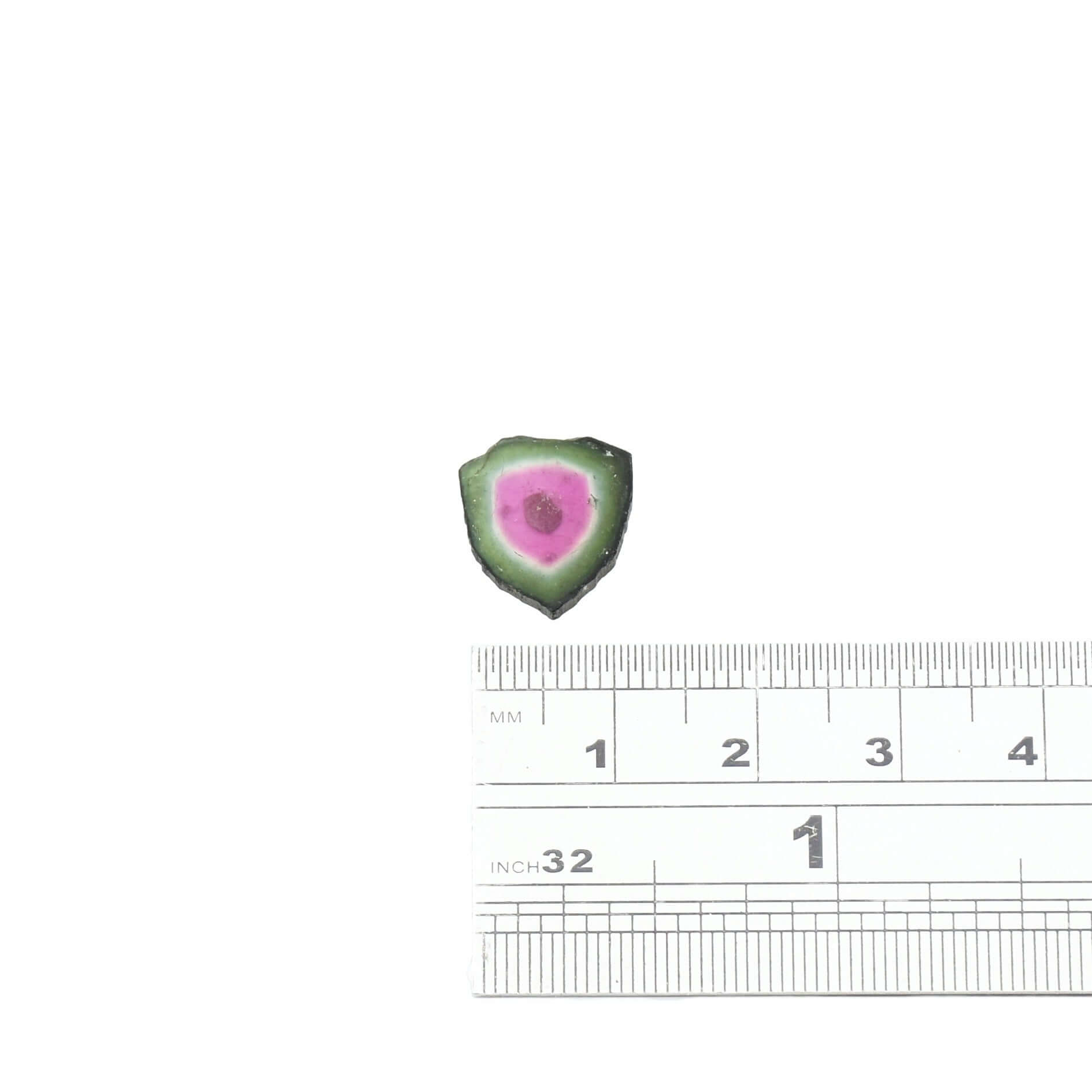 Dark green and deep pink watermelon tourmaline gemstone ready for a custom ring