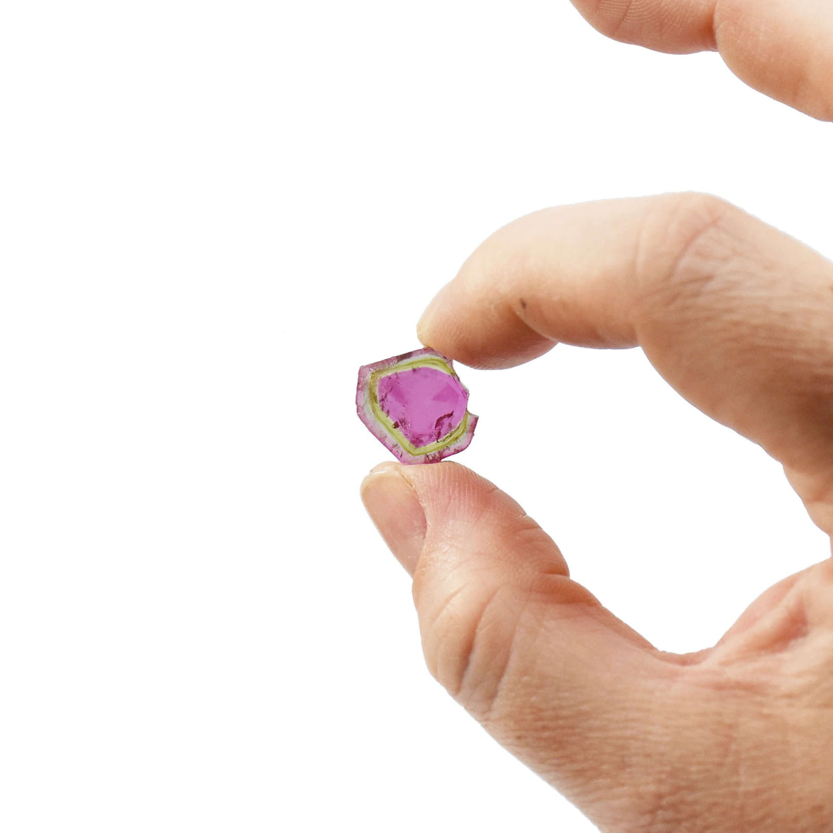 A green and pink loose watermelon tourmaline is held between two fingers
