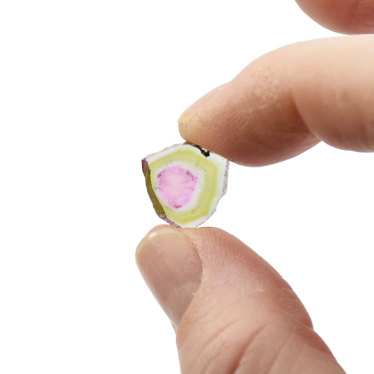 A bright green and light pink loose watermelon tourmaline stone is held between two fingers