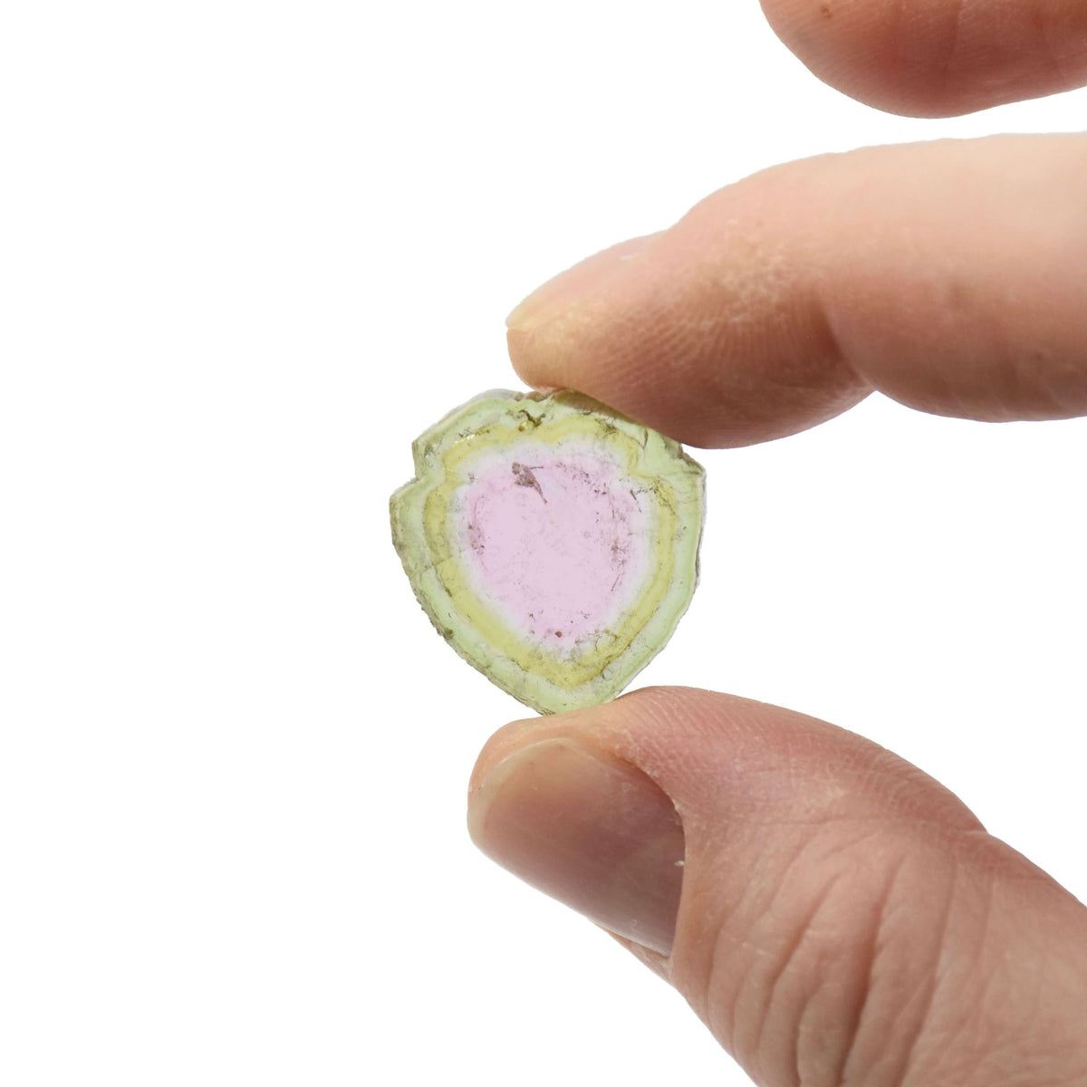 A large watermelon tourmaline slice is held between two fingers