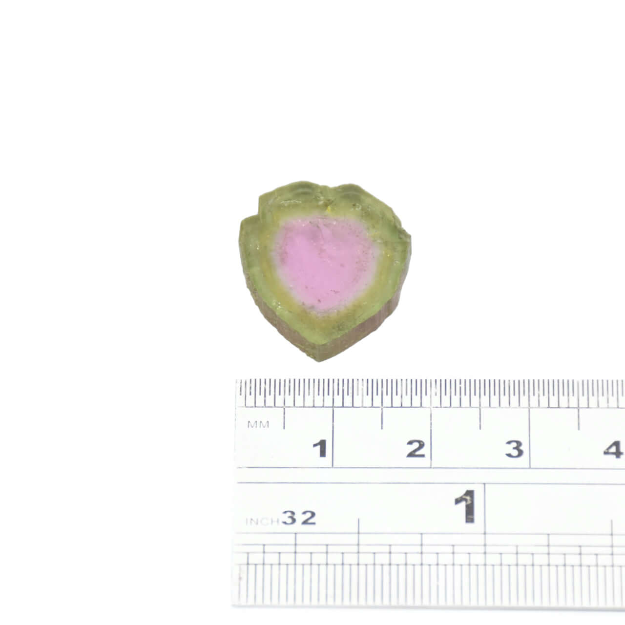 A bright green and light pink large watermelon tourmaline