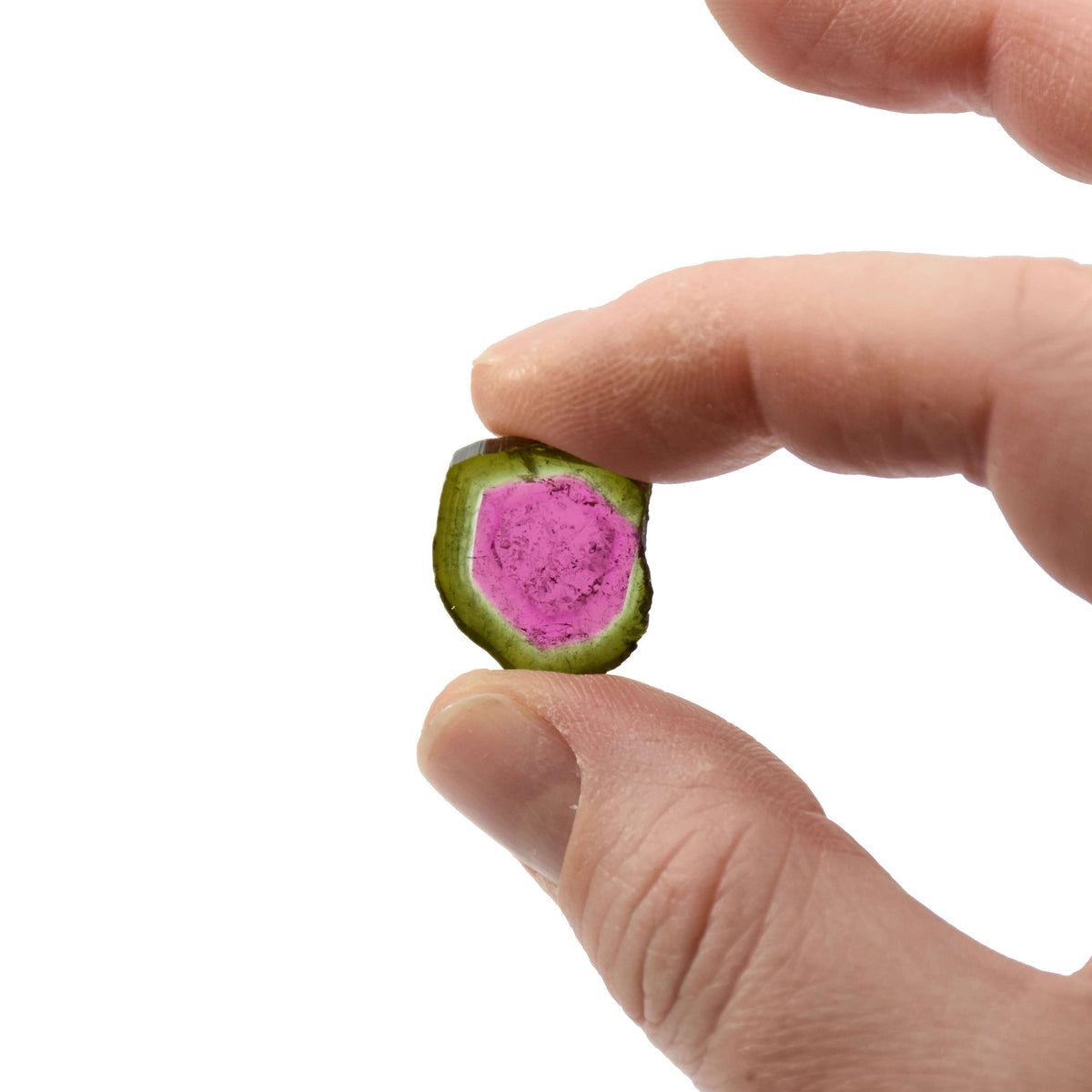 A dark green and dark green genuine watermelon tourmaline slice held between two fingers