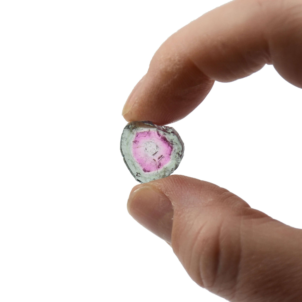 A pale teal and pink loose watermelon tourmaline slice is held between two fingers